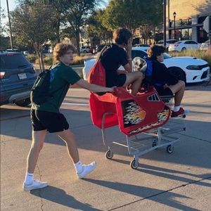 Meet your Posher, Maddox